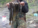 jeder-bekommt-seinen-fisch