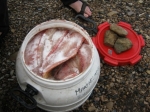 fischkuche-in-salz-eingelegt