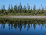 Sommer in der Taiga