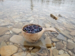 dscn1611 dscn1611