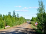 …auf der Diamantstrasse nach Norden…