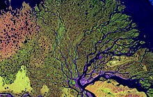 220px-Lena_River_Delta_-_Landsat_2000